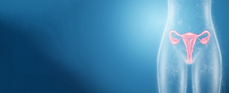 hysteroscopy